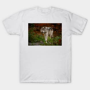 Gray Wolf T-Shirt